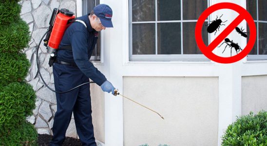 Güney Pire İlaçlama böcek ilaçlama ve haşere kontrolü — ilaclama-tr.com